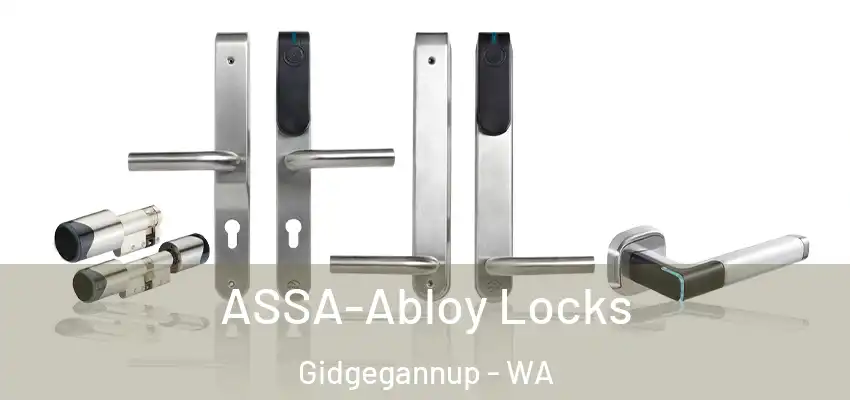 ASSA-Abloy Locks Gidgegannup - WA