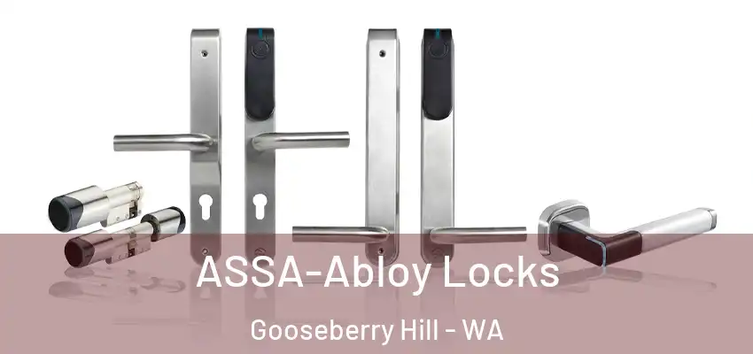  ASSA-Abloy Locks Gooseberry Hill - WA