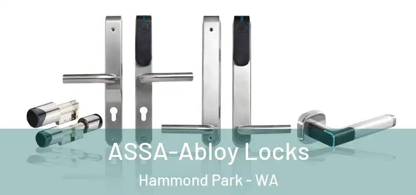  ASSA-Abloy Locks Hammond Park - WA