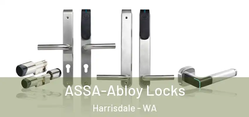 ASSA-Abloy Locks Harrisdale - WA