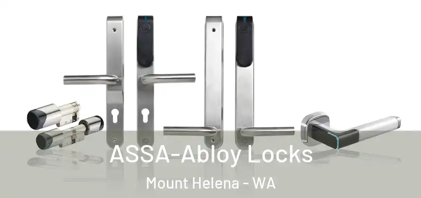  ASSA-Abloy Locks Mount Helena - WA