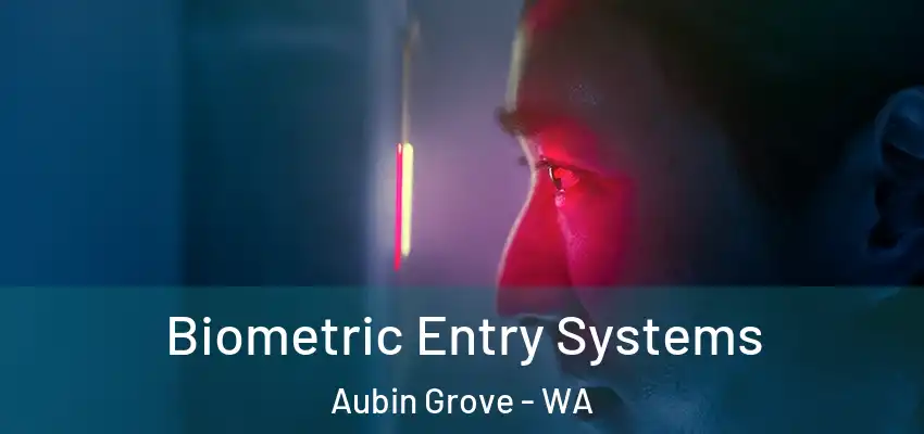 Biometric Entry Systems Aubin Grove - WA
