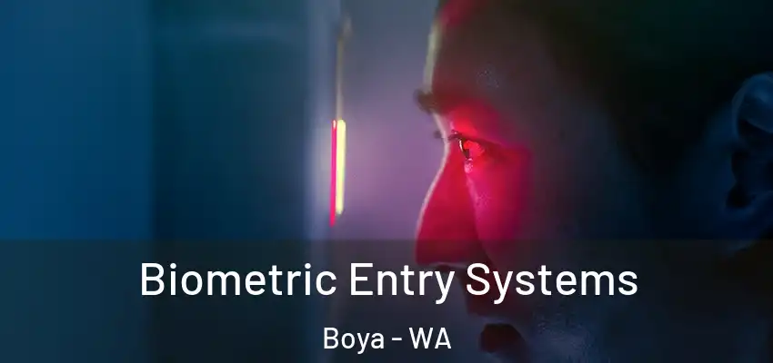 Biometric Entry Systems Boya - WA