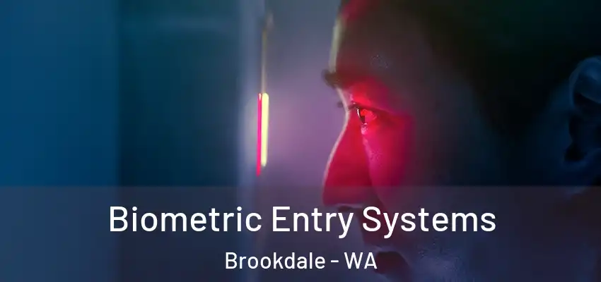Biometric Entry Systems Brookdale - WA