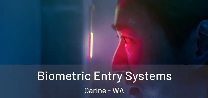 Biometric Entry Systems Carine - WA