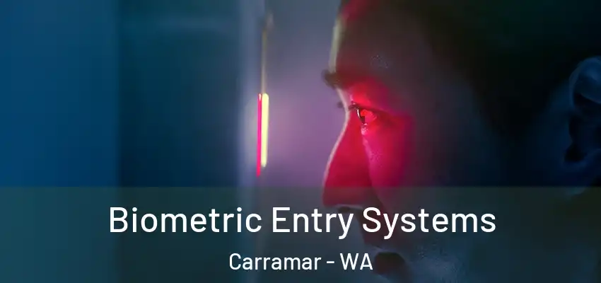 Biometric Entry Systems Carramar - WA
