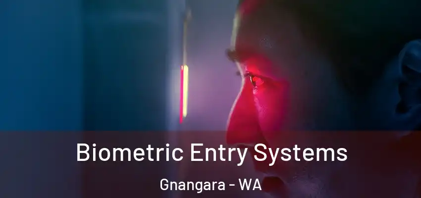 Biometric Entry Systems Gnangara - WA