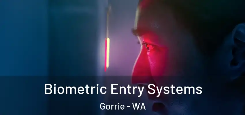 Biometric Entry Systems Gorrie - WA