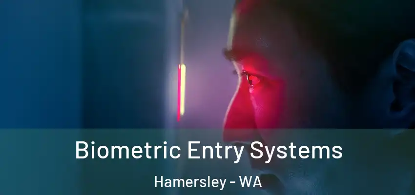 Biometric Entry Systems Hamersley - WA