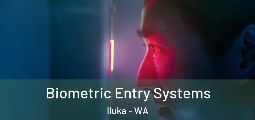 Biometric Entry Systems Iluka - WA