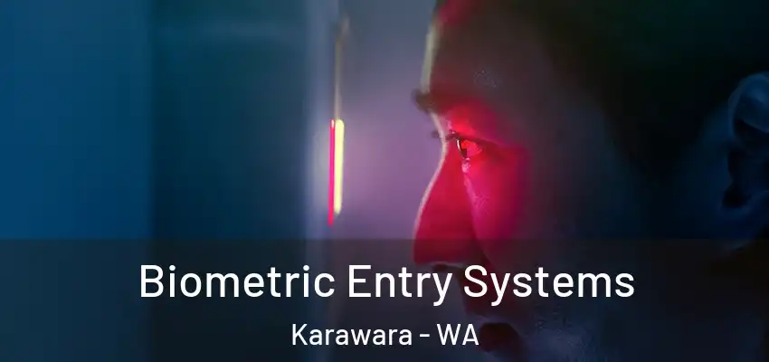 Biometric Entry Systems Karawara - WA