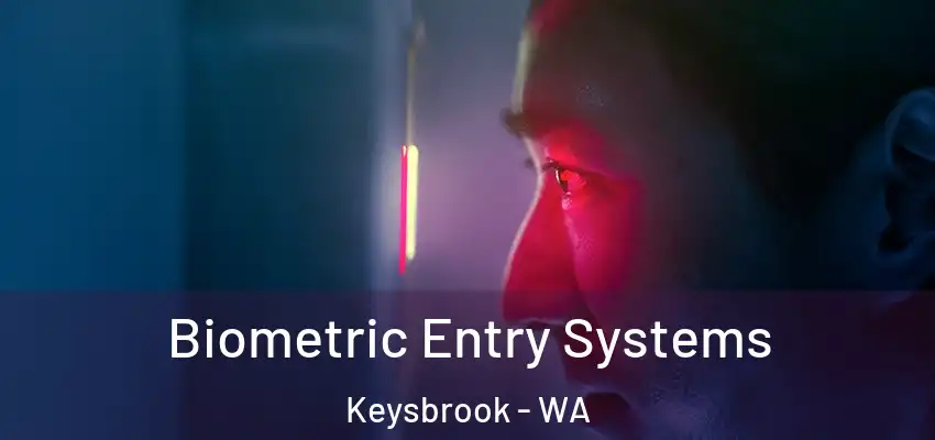 Biometric Entry Systems Keysbrook - WA