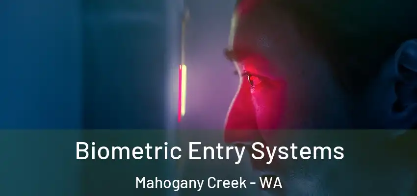 Biometric Entry Systems Mahogany Creek - WA