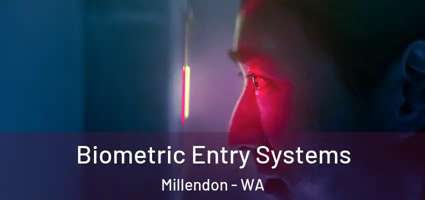 Biometric Entry Systems Millendon - WA