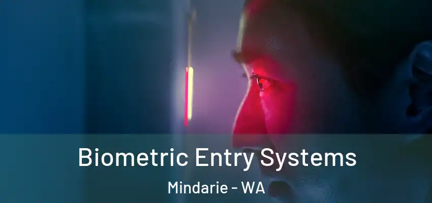 Biometric Entry Systems Mindarie - WA
