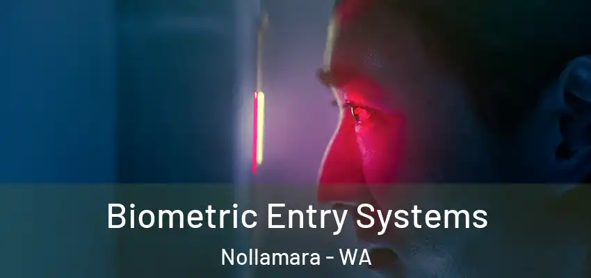  Biometric Entry Systems Nollamara - WA