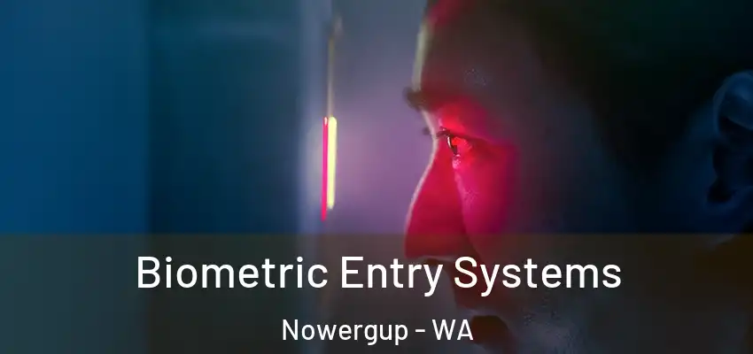 Biometric Entry Systems Nowergup - WA