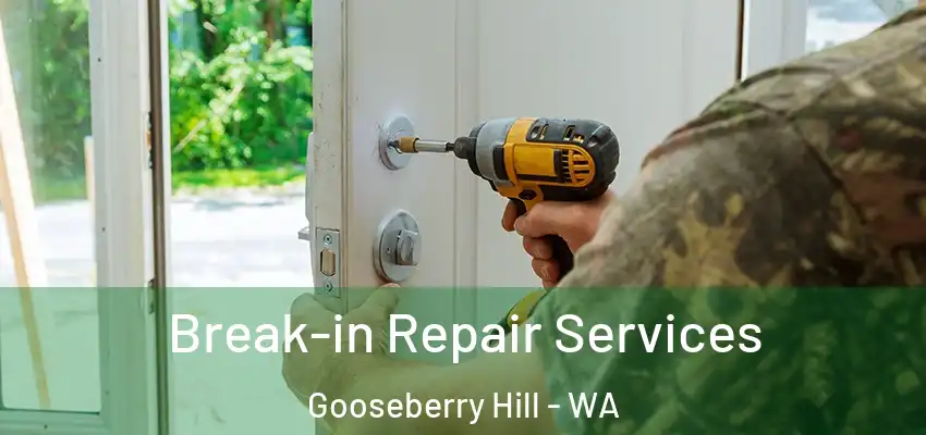 Break-in Repair Services Gooseberry Hill - WA