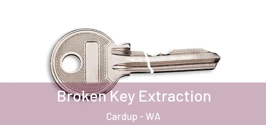  Broken Key Extraction Cardup - WA