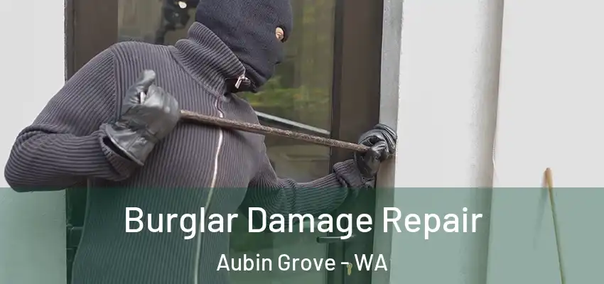 Burglar Damage Repair Aubin Grove - WA