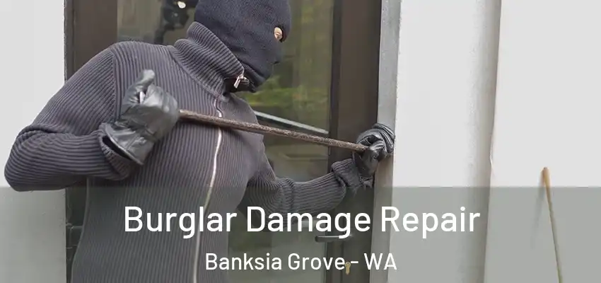  Burglar Damage Repair Banksia Grove - WA