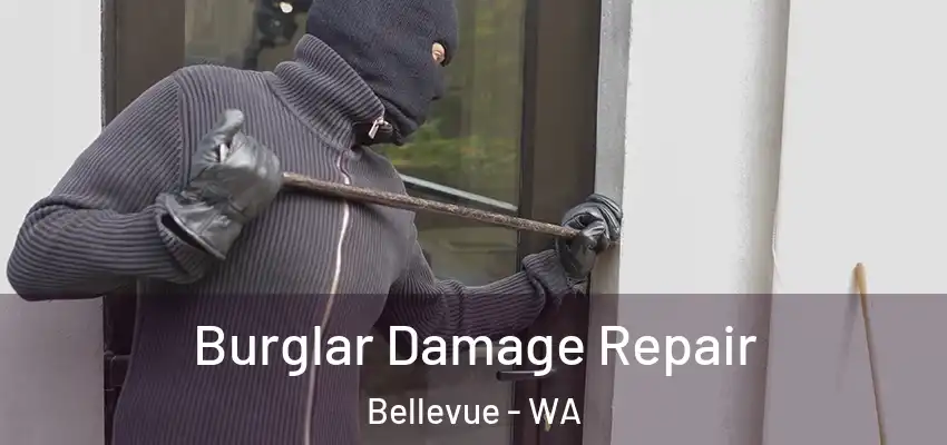  Burglar Damage Repair Bellevue - WA