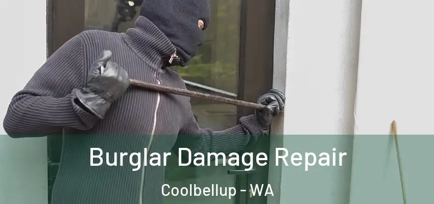  Burglar Damage Repair Coolbellup - WA