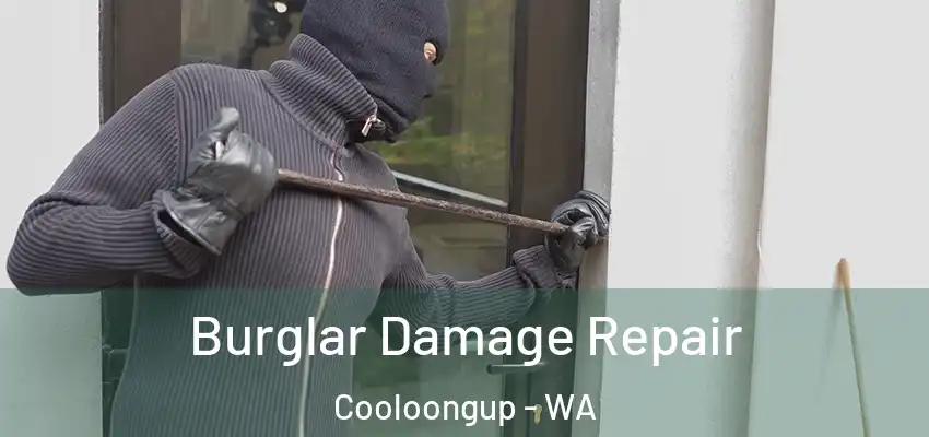  Burglar Damage Repair Cooloongup - WA