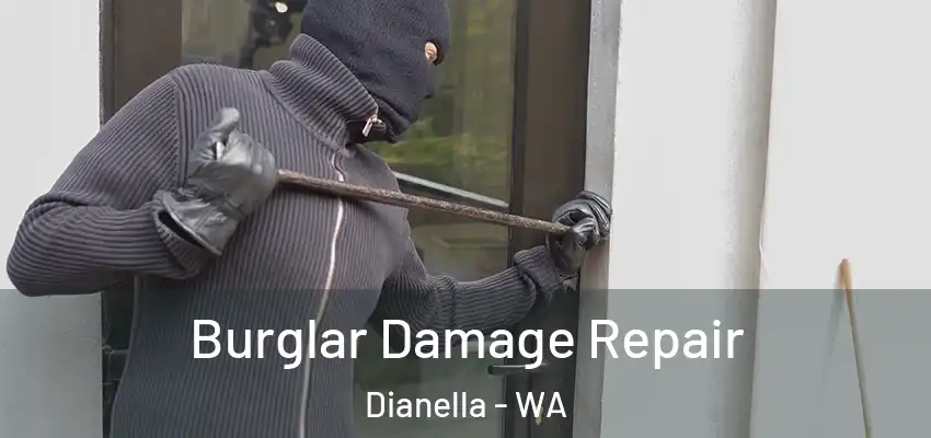 Burglar Damage Repair Dianella - WA