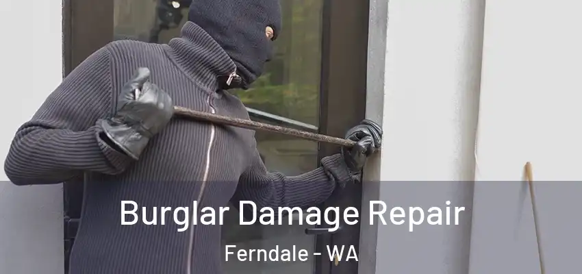 Burglar Damage Repair Ferndale - WA
