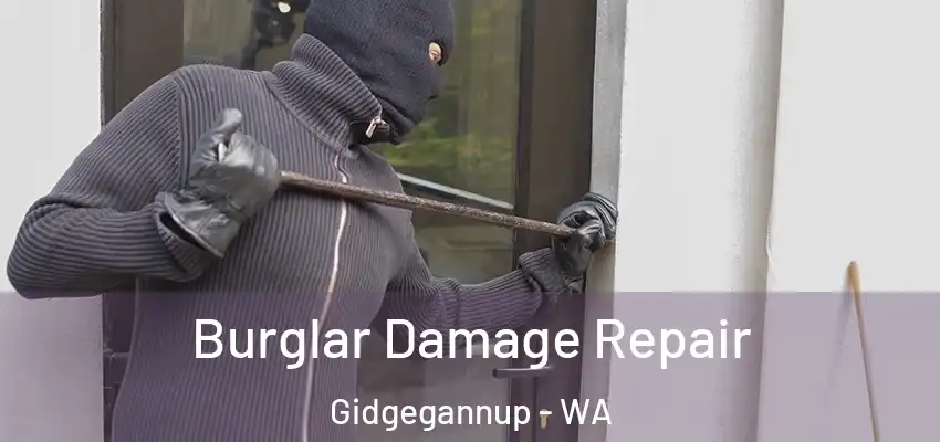 Burglar Damage Repair Gidgegannup - WA