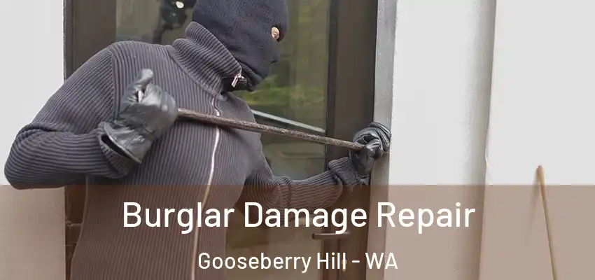Burglar Damage Repair Gooseberry Hill - WA