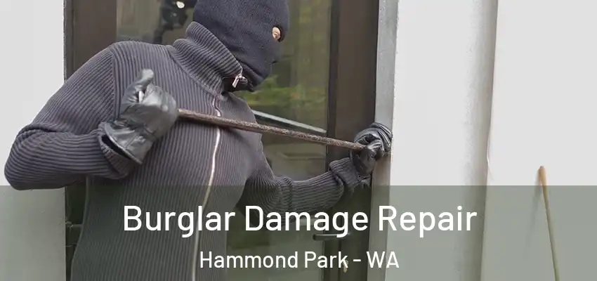  Burglar Damage Repair Hammond Park - WA