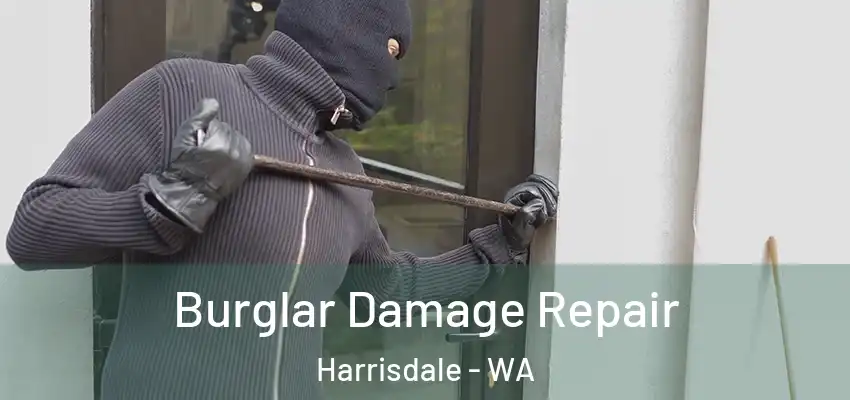 Burglar Damage Repair Harrisdale - WA