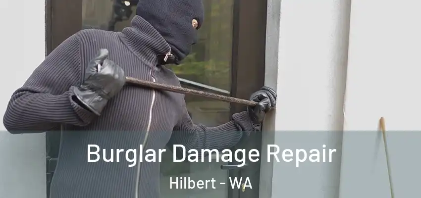 Burglar Damage Repair Hilbert - WA