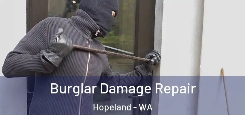 Burglar Damage Repair Hopeland - WA