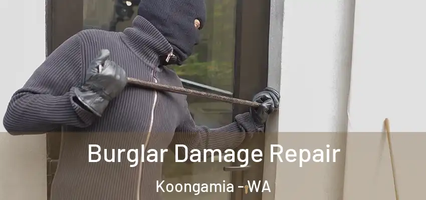  Burglar Damage Repair Koongamia - WA