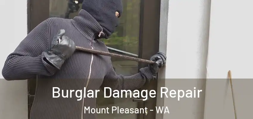  Burglar Damage Repair Mount Pleasant - WA