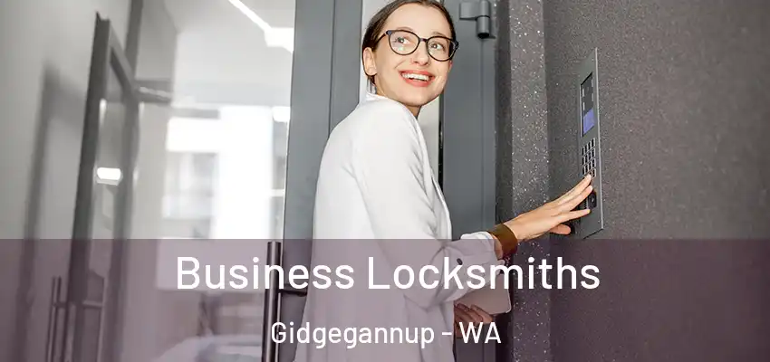 Business Locksmiths Gidgegannup - WA