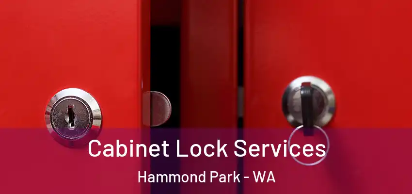 Cabinet Lock Services Hammond Park - WA
