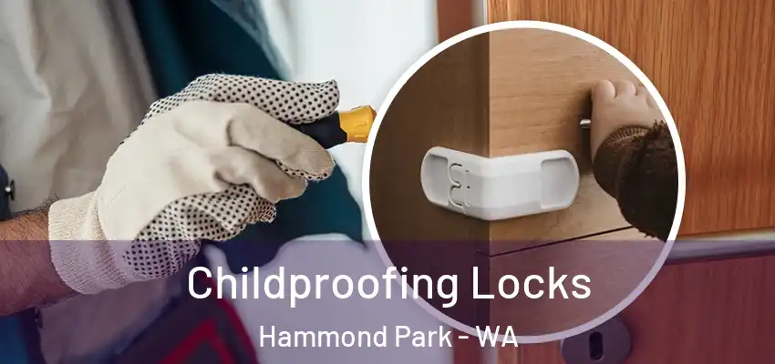 Childproofing Locks Hammond Park - WA