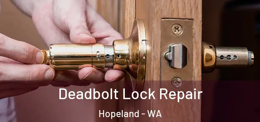 Deadbolt Lock Repair Hopeland - WA