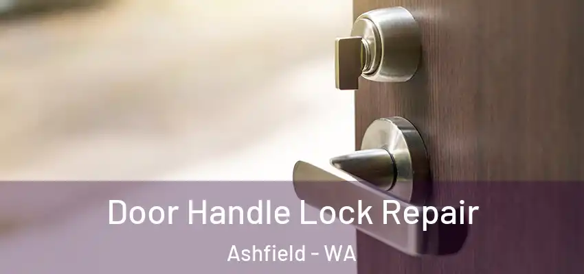 Door Handle Lock Repair Ashfield - WA