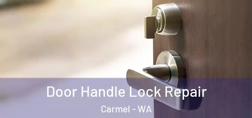 Door Handle Lock Repair Carmel - WA