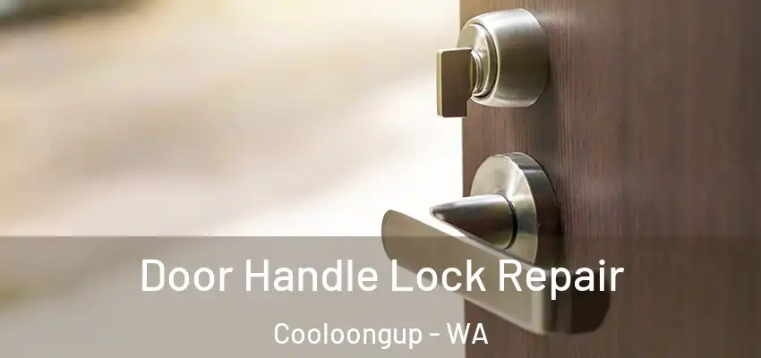 Door Handle Lock Repair Cooloongup - WA