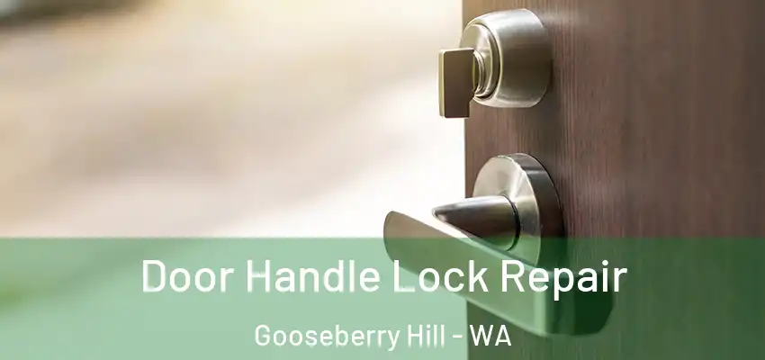 Door Handle Lock Repair Gooseberry Hill - WA