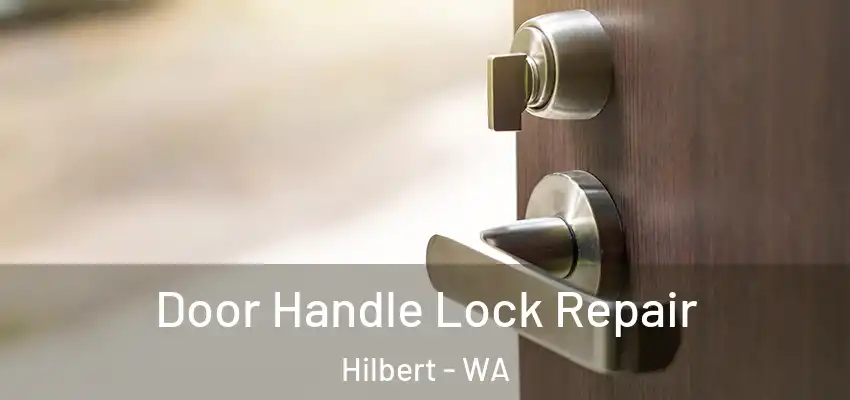 Door Handle Lock Repair Hilbert - WA