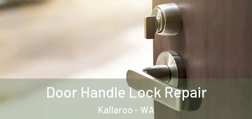 Door Handle Lock Repair Kallaroo - WA