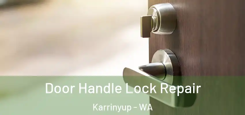 Door Handle Lock Repair Karrinyup - WA
