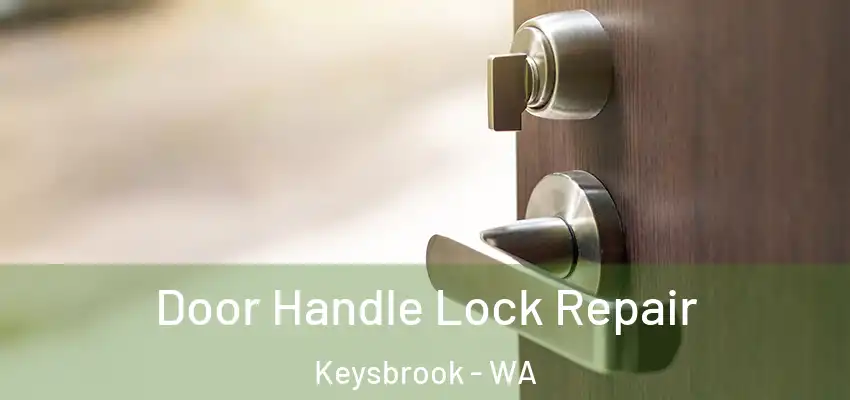 Door Handle Lock Repair Keysbrook - WA